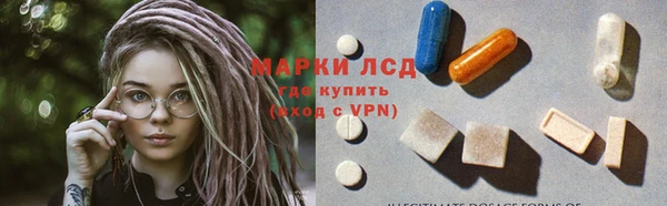 ГАЛЛЮЦИНОГЕННЫЕ ГРИБЫ Алексин