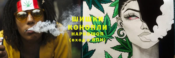 ГАЛЛЮЦИНОГЕННЫЕ ГРИБЫ Алексин