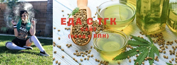 хмурый Алзамай