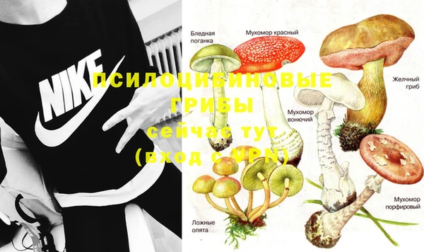 ГАЛЛЮЦИНОГЕННЫЕ ГРИБЫ Алексин