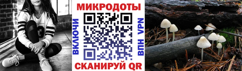 Псилоцибиновые грибы ЛСД  Избербаш 