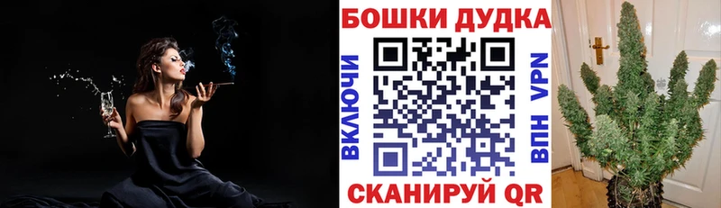 Каннабис индика Избербаш